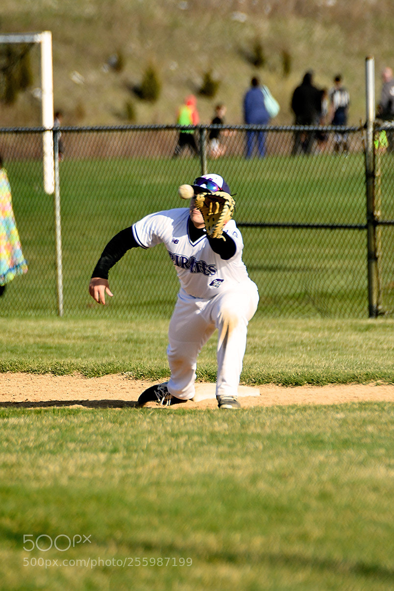 Nikon D500 sample photo. 4-25_0386.jpg photography