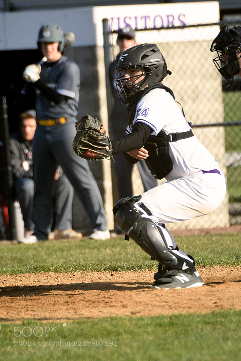 Nikon D500 sample photo. 4-25_0394.jpg photography