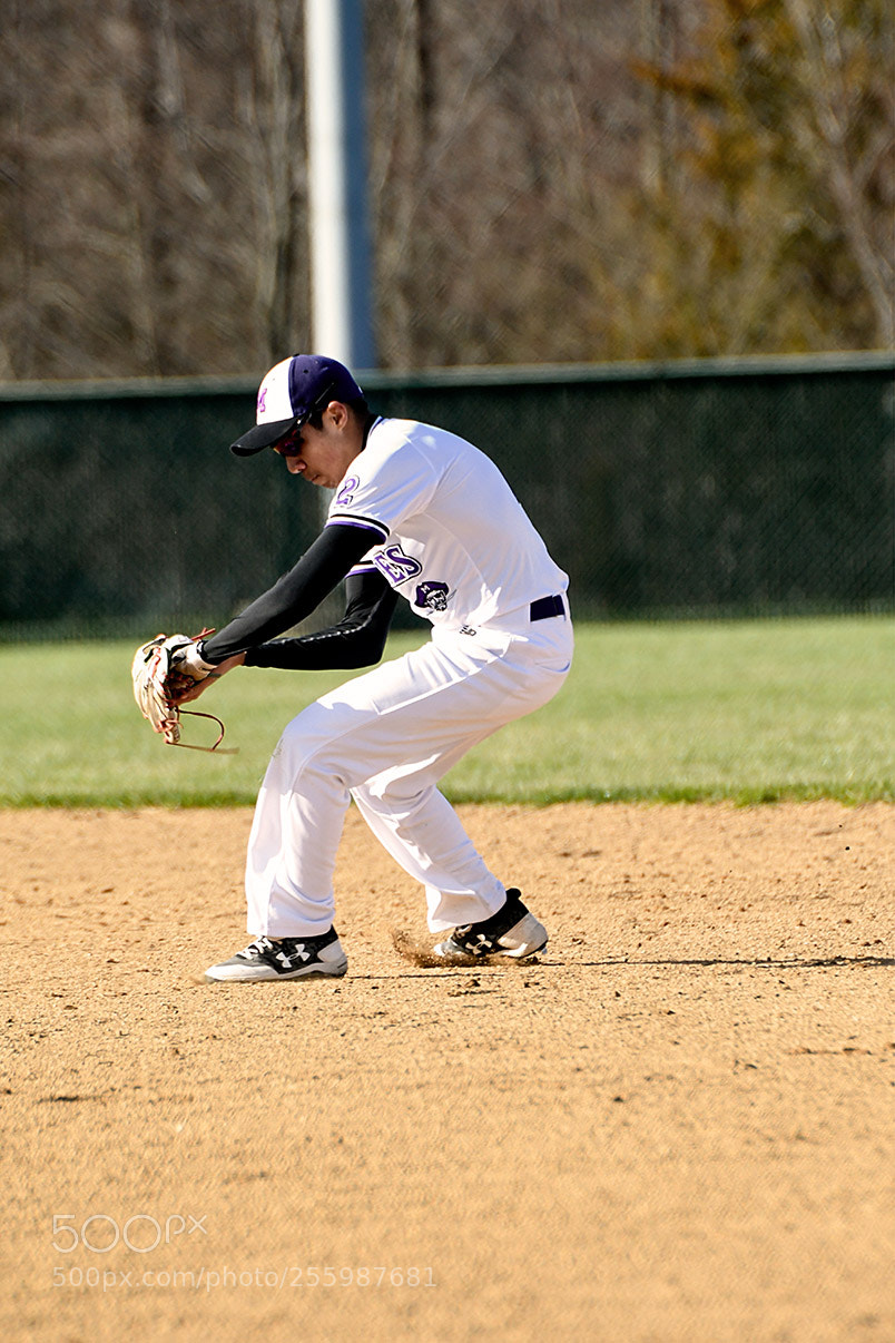 Nikon D500 sample photo. 4-25_0185.jpg photography
