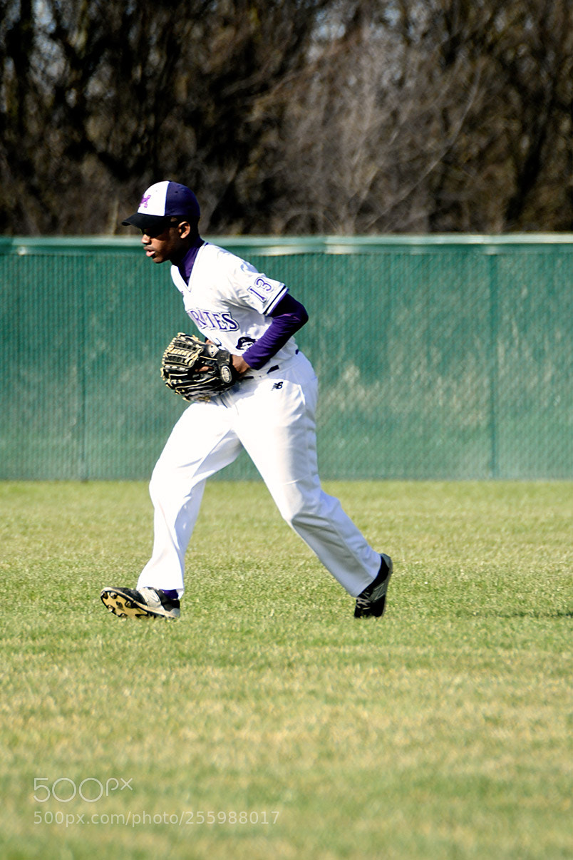 Nikon D500 sample photo. 4-25_0201.jpg photography
