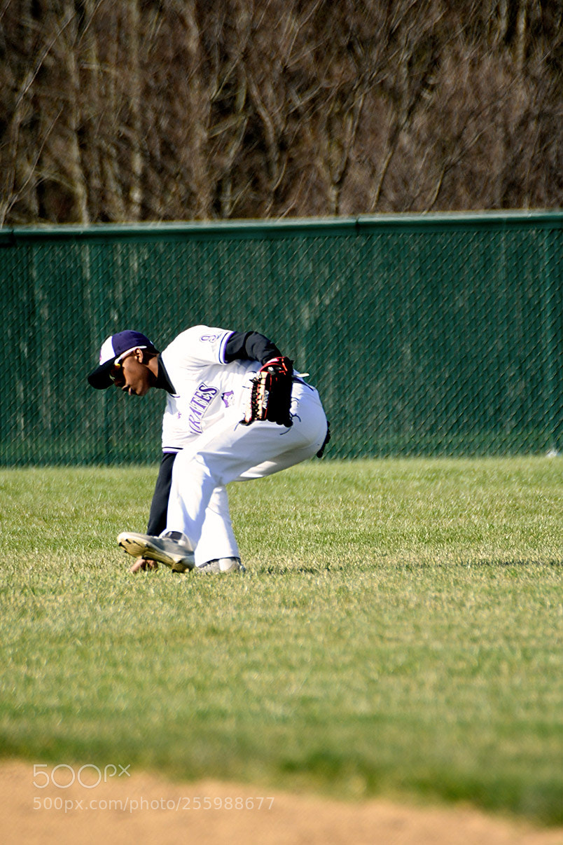Nikon D500 sample photo. 4-25_0215.jpg photography