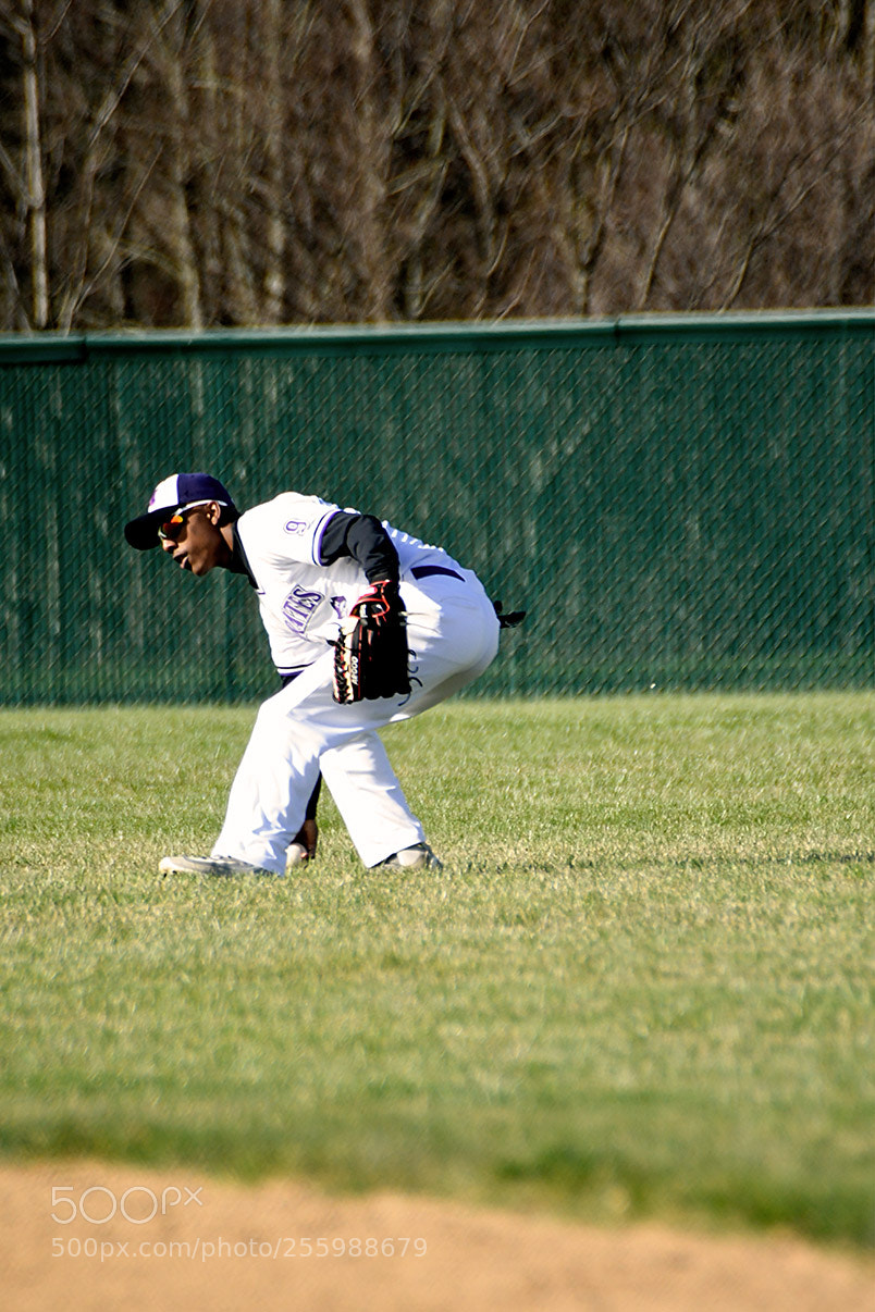 Nikon D500 sample photo. 4-25_0216.jpg photography
