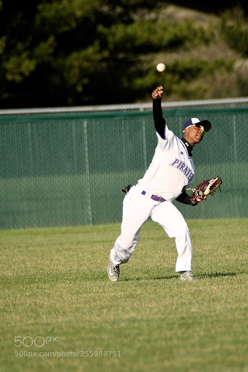 Nikon D500 sample photo. 4-25_0423.jpg photography