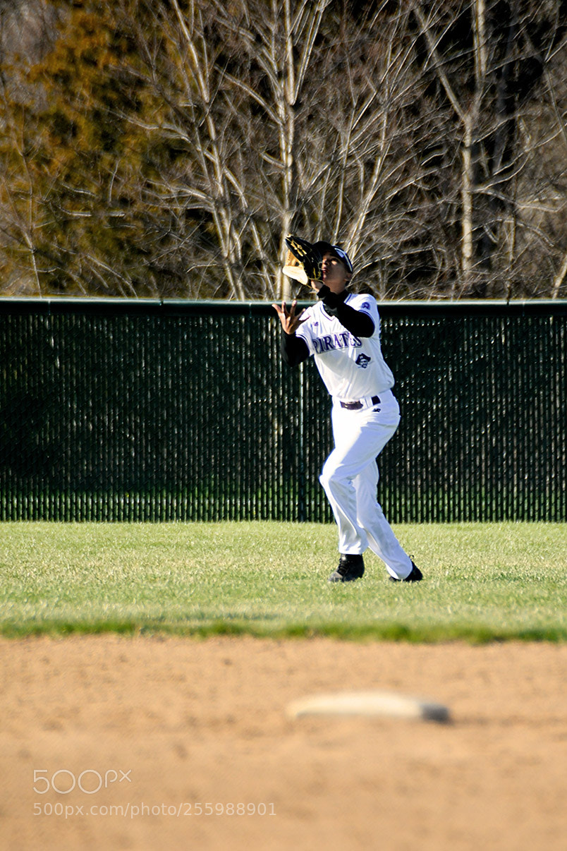 Nikon D500 sample photo. 4-25_0220.jpg photography