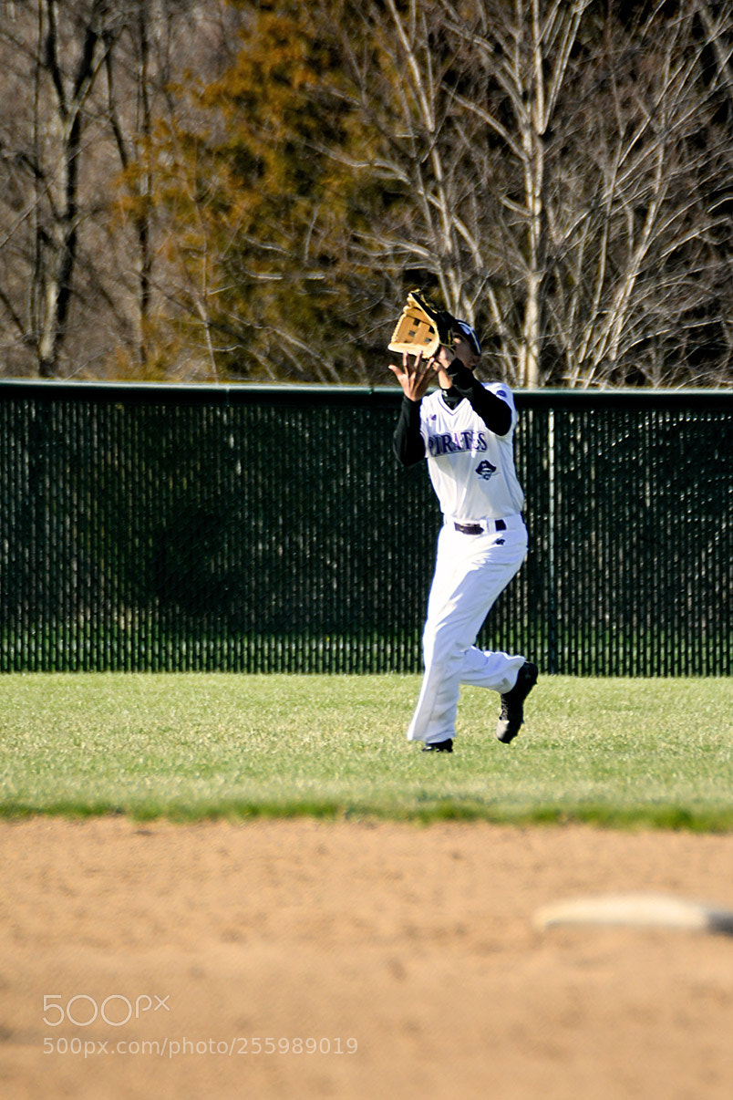 Nikon D500 sample photo. 4-25_0221.jpg photography