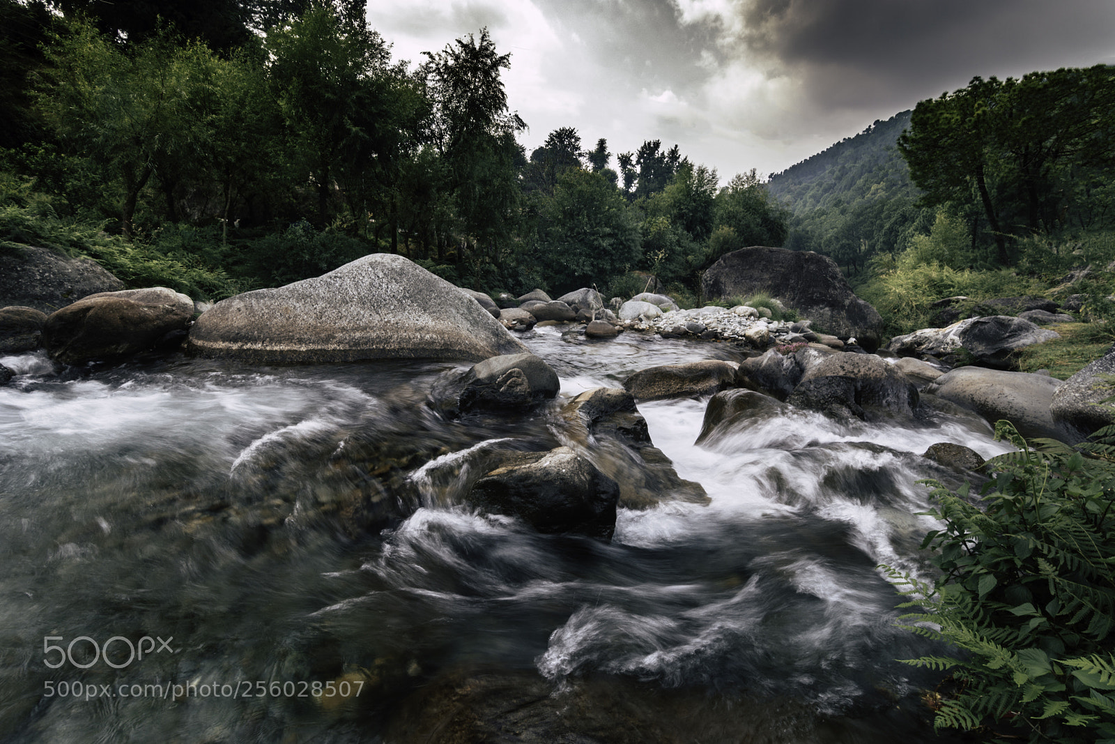 Nikon D7100 sample photo. Lets flow photography