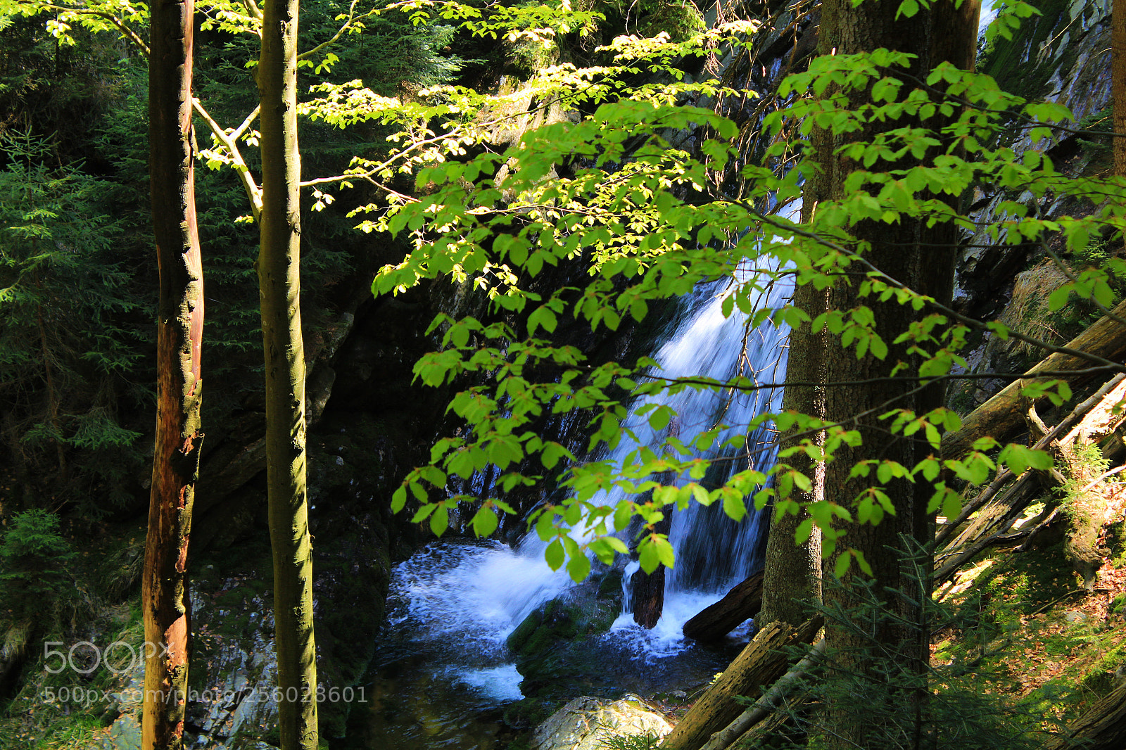 Canon EOS 1200D (EOS Rebel T5 / EOS Kiss X70 / EOS Hi) sample photo. Waterfalls in national park photography