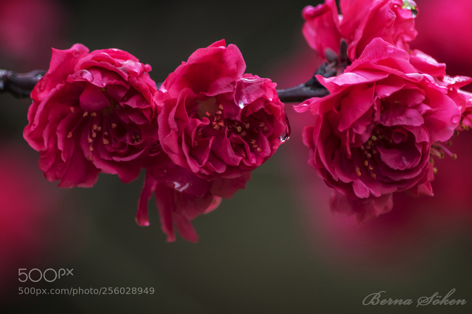 Nikon D5500 sample photo. Yesterday today tomorrow photography