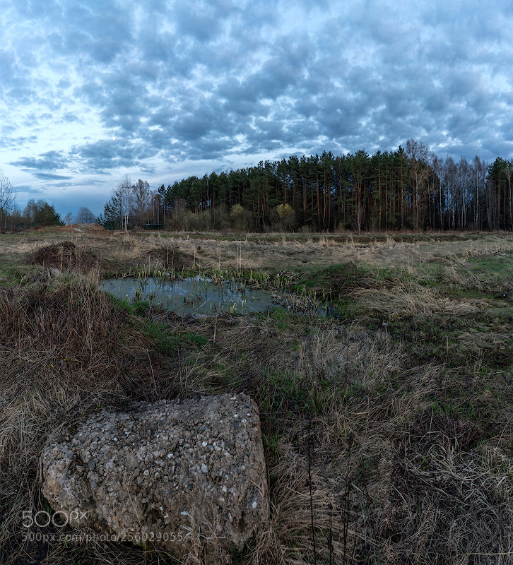 Sony a7R III sample photo. Софрино на закате photography
