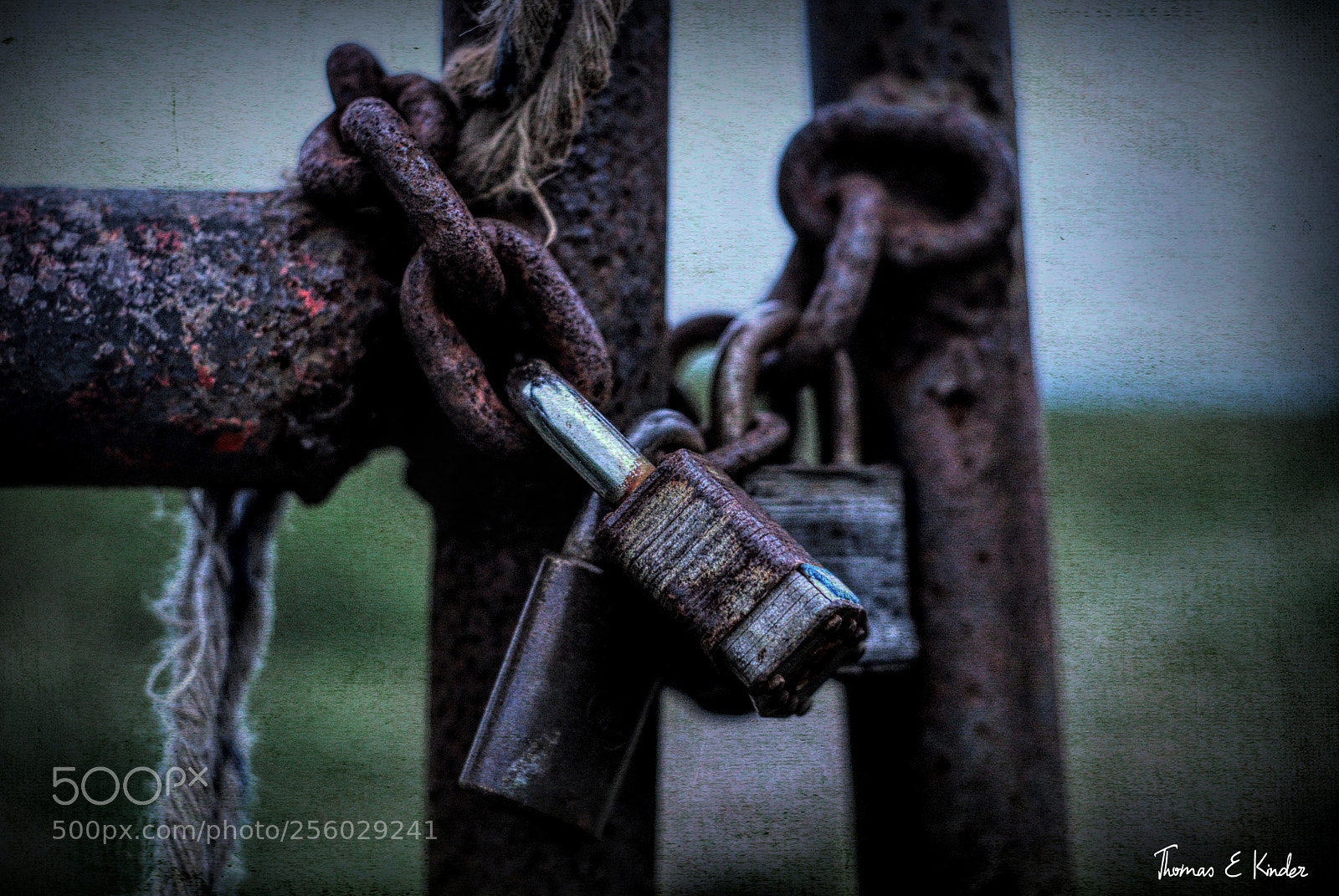Nikon D200 sample photo. 50mm fun photography