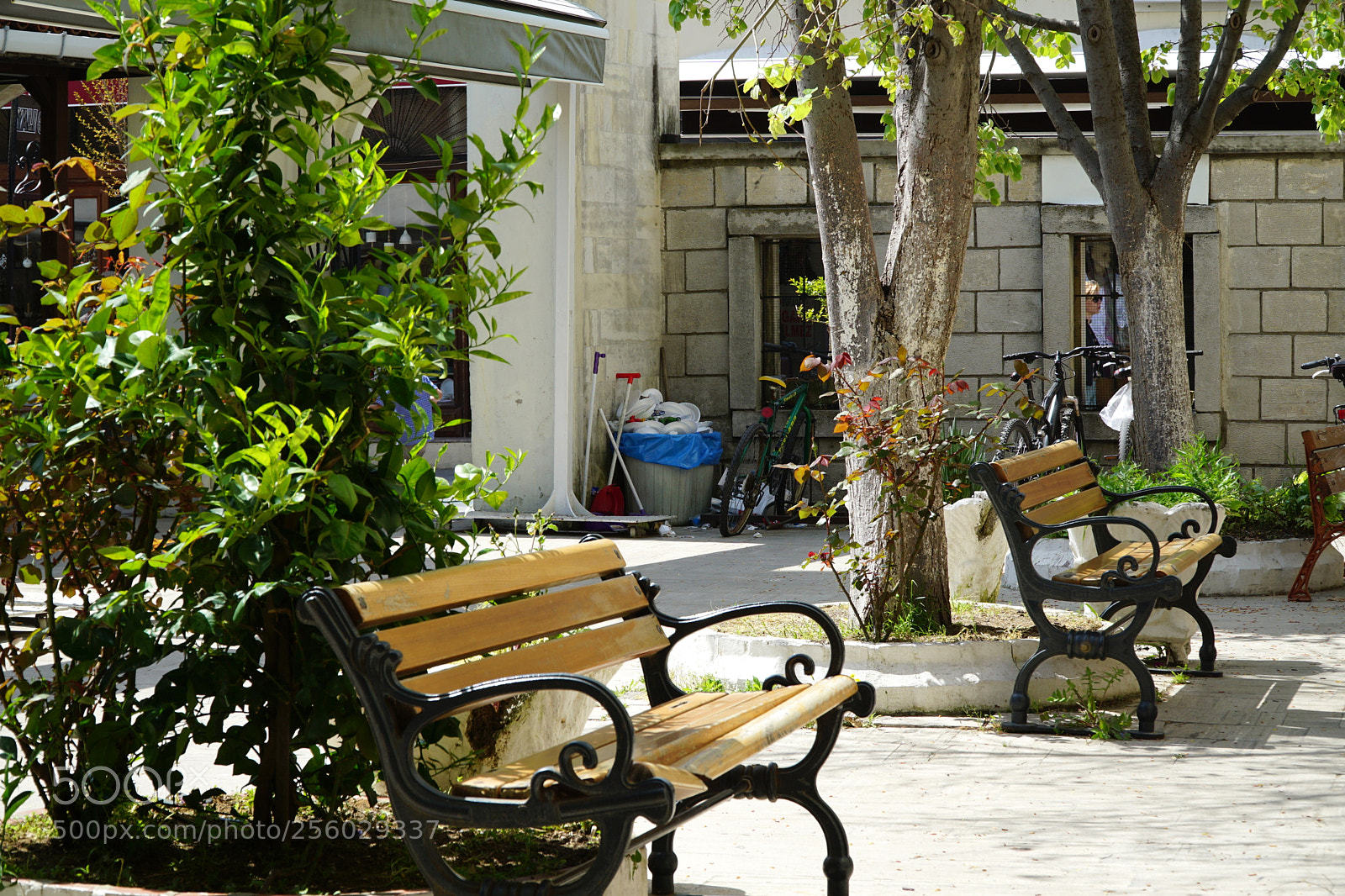 Sony a6000 sample photo. . photography