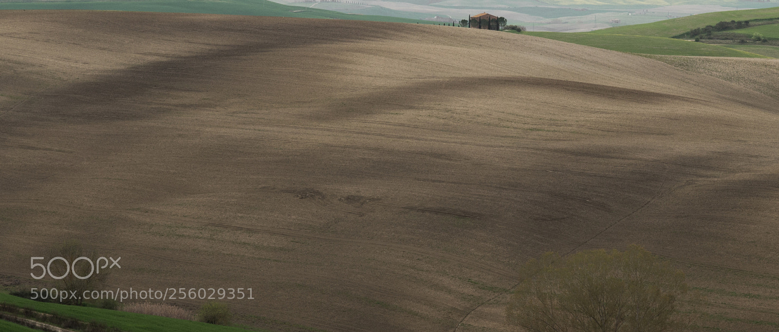 Nikon D800 sample photo. Tuscany photography