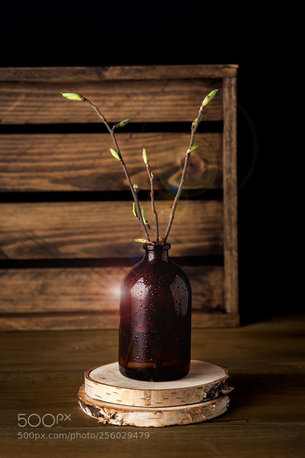 Nikon D750 sample photo. 999_7299.jpg photography