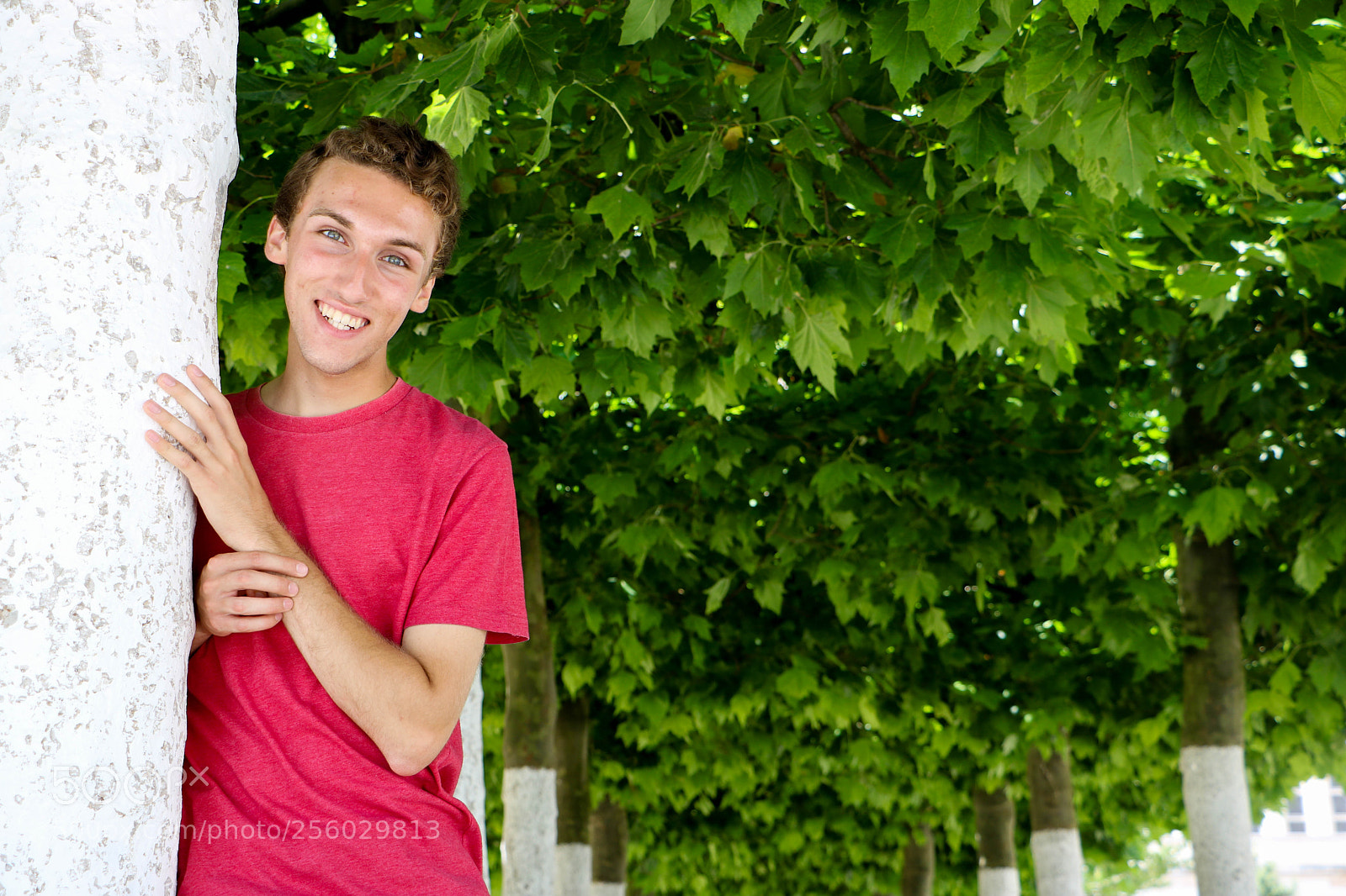 Canon EOS 750D (EOS Rebel T6i / EOS Kiss X8i) sample photo. Josh photography