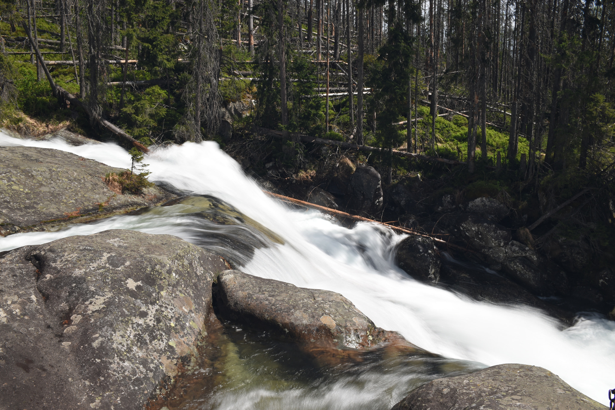 Nikon D5600 sample photo. Waterfall photography