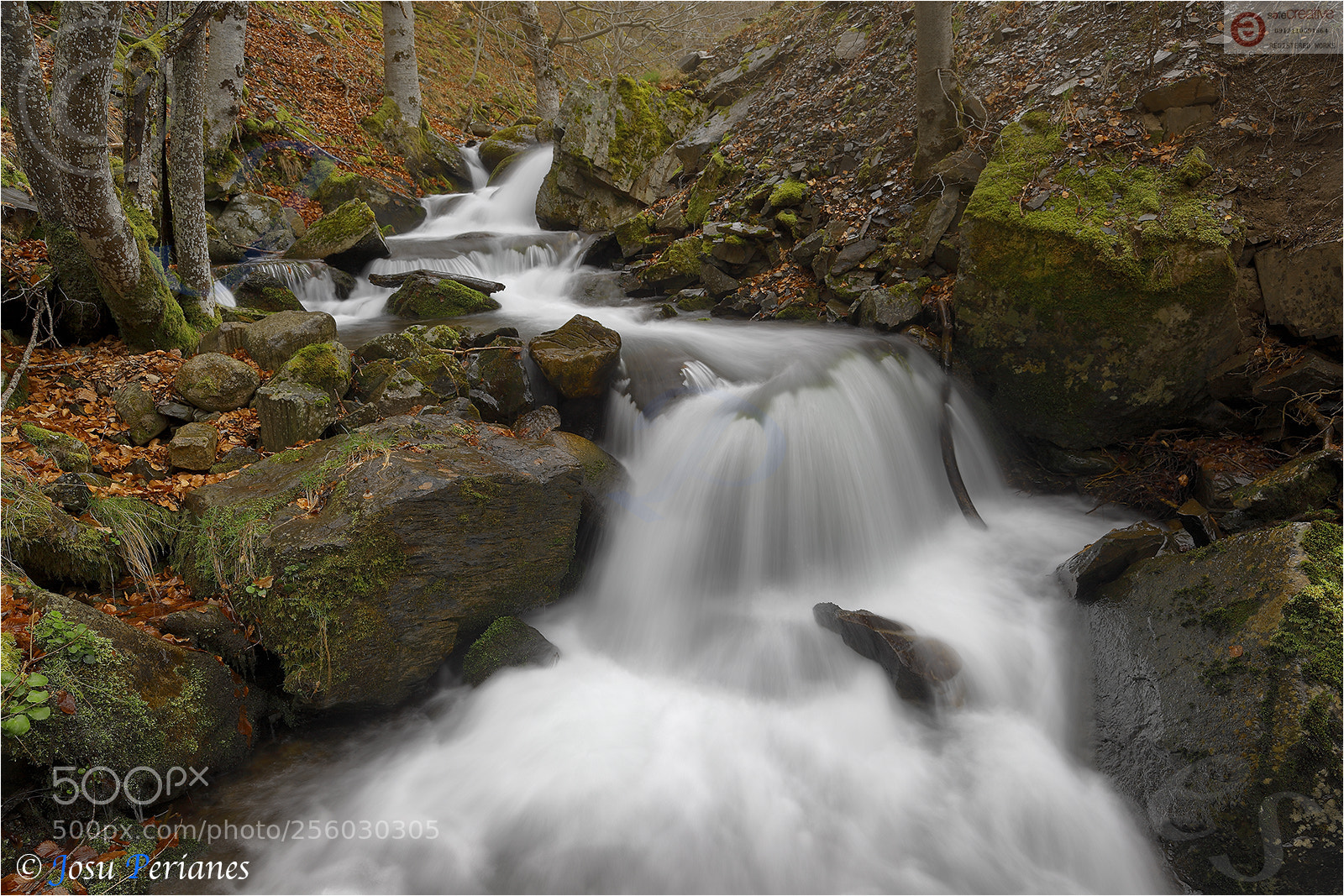 Canon EOS 5D Mark II sample photo. Rincones de primavera photography