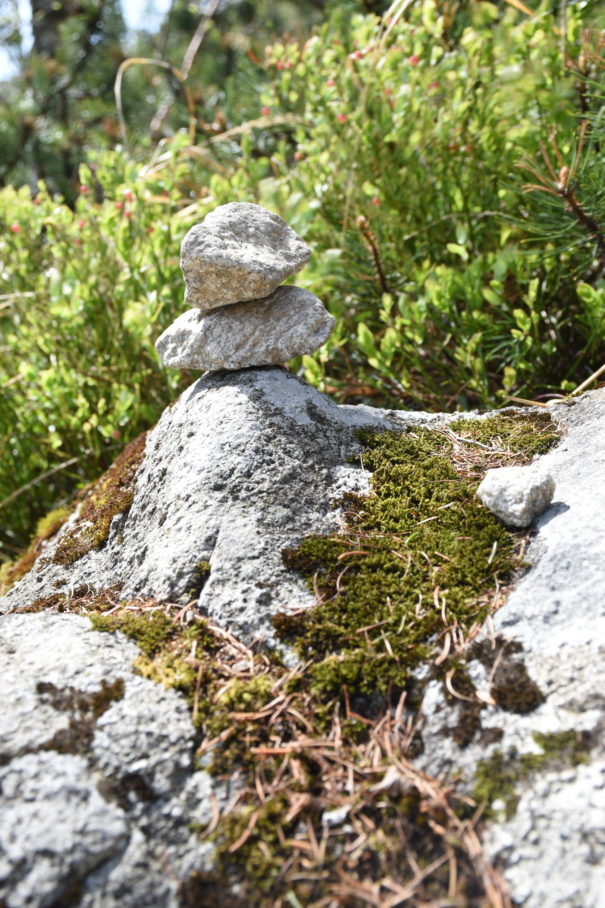 Nikon D5600 sample photo. One on another photography