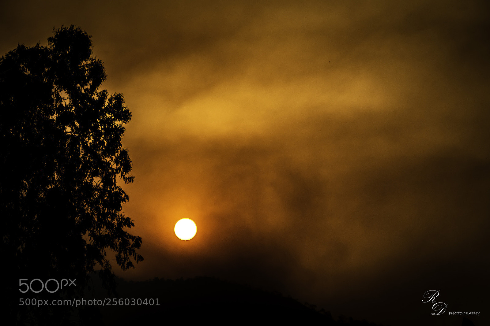 Canon EOS 70D sample photo. Sunrise at corbett photography