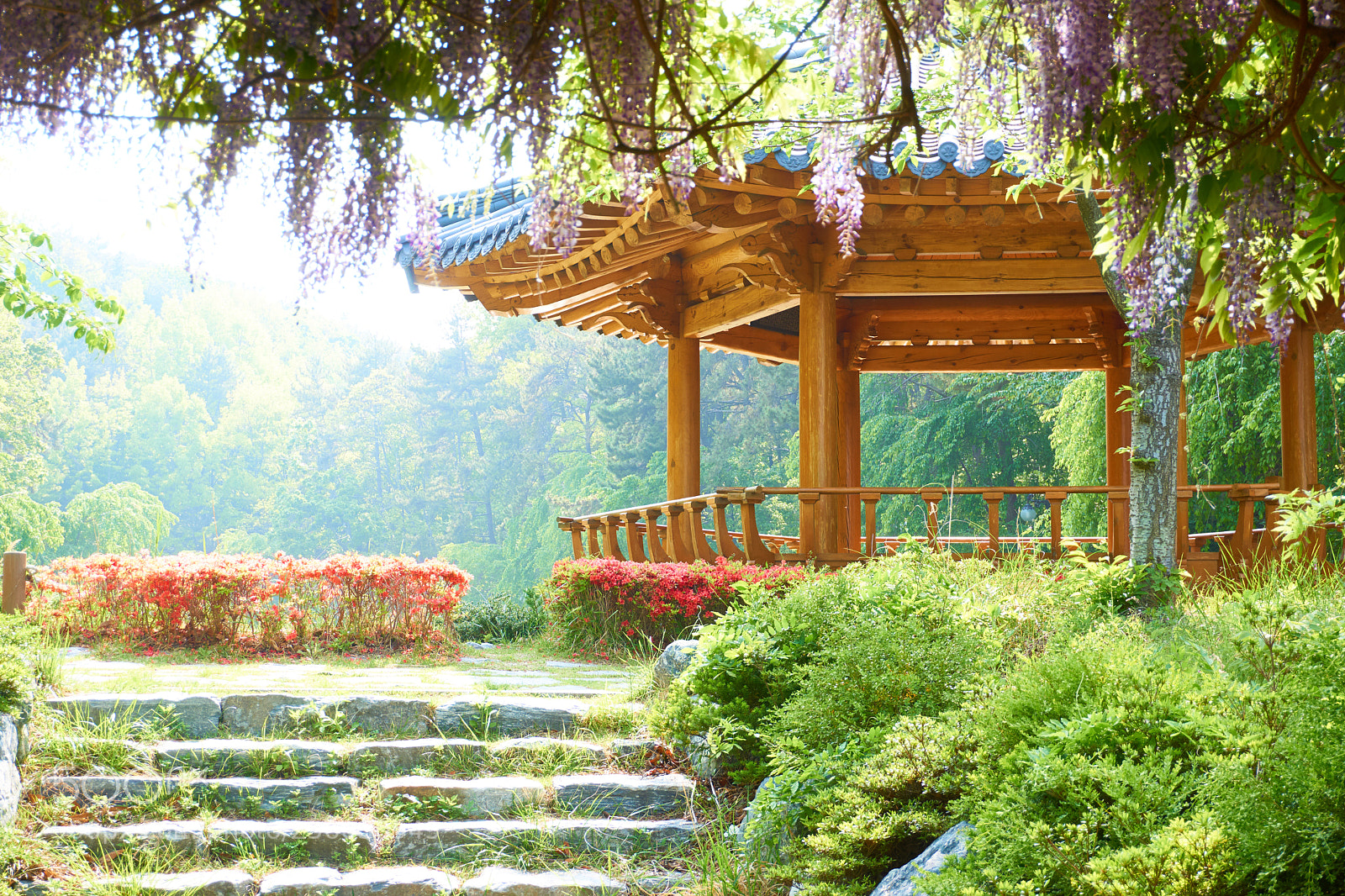 Sony a6000 sample photo. Korea park photography