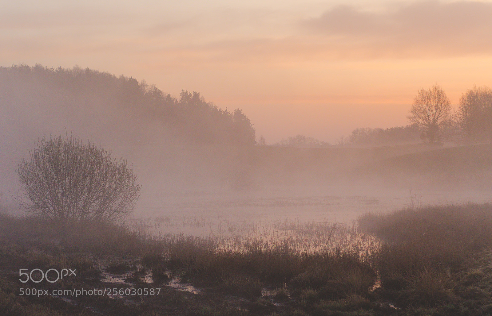Nikon D7000 sample photo. Foggy sunrise photography