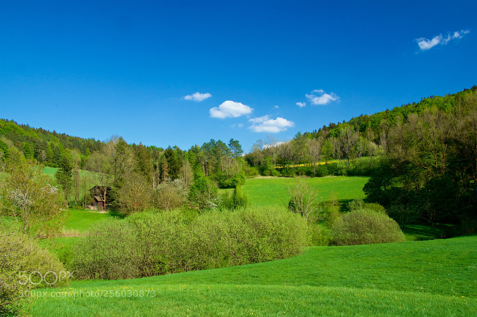 Pentax K-3 II sample photo. Spring landscape photography