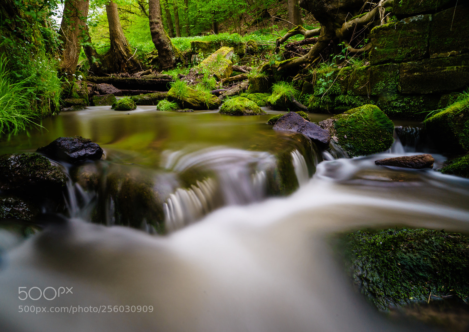 Sony a7 II sample photo. Lange am bach gewesen photography