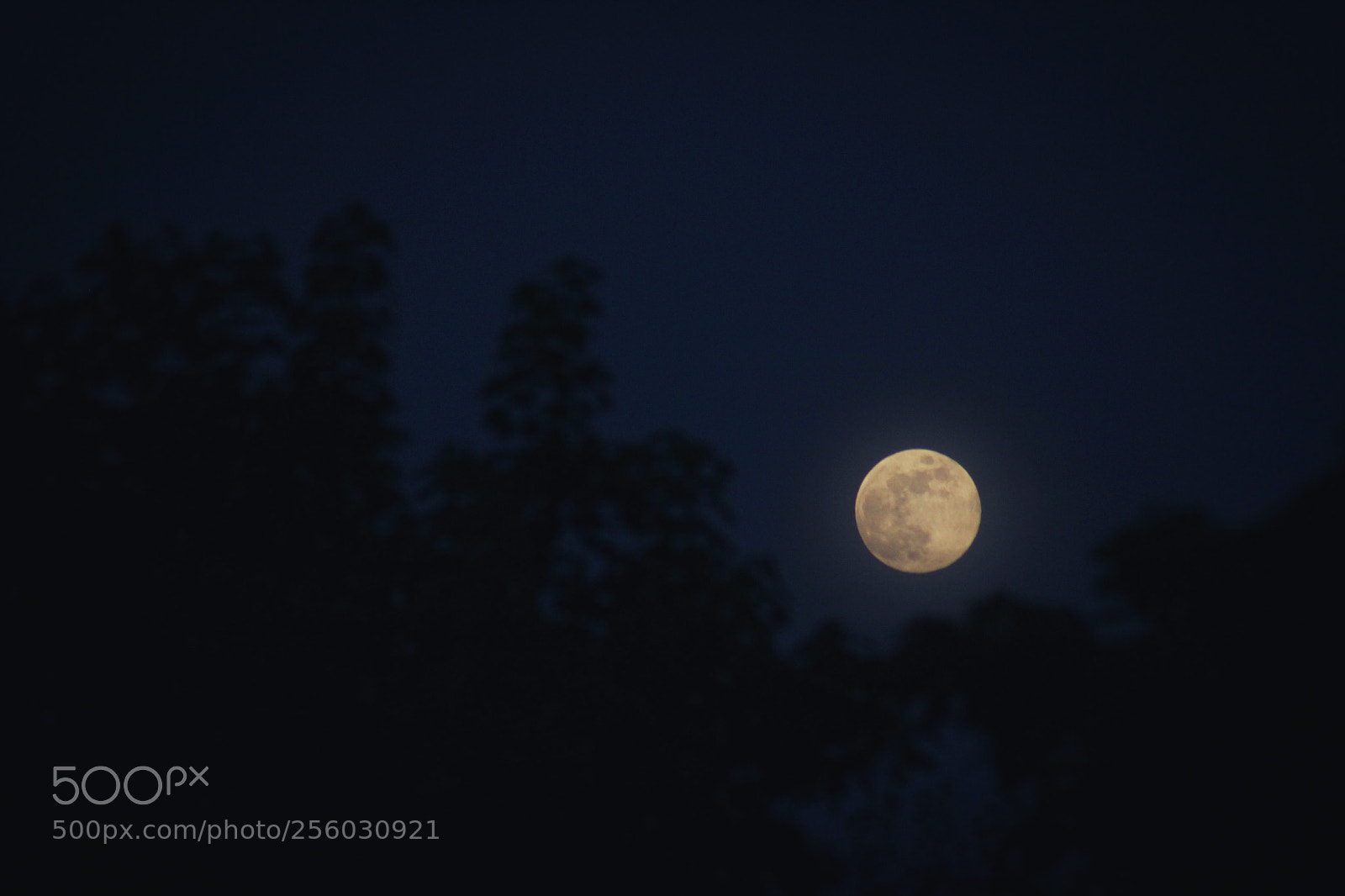 Canon EOS 60D sample photo. Moon photography