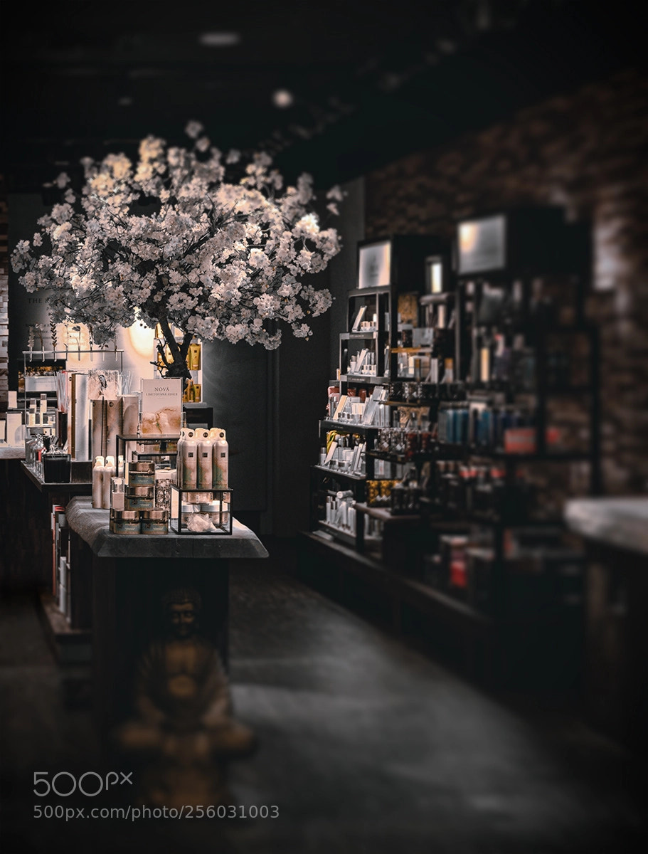 Nikon D850 sample photo. Just a shop photography