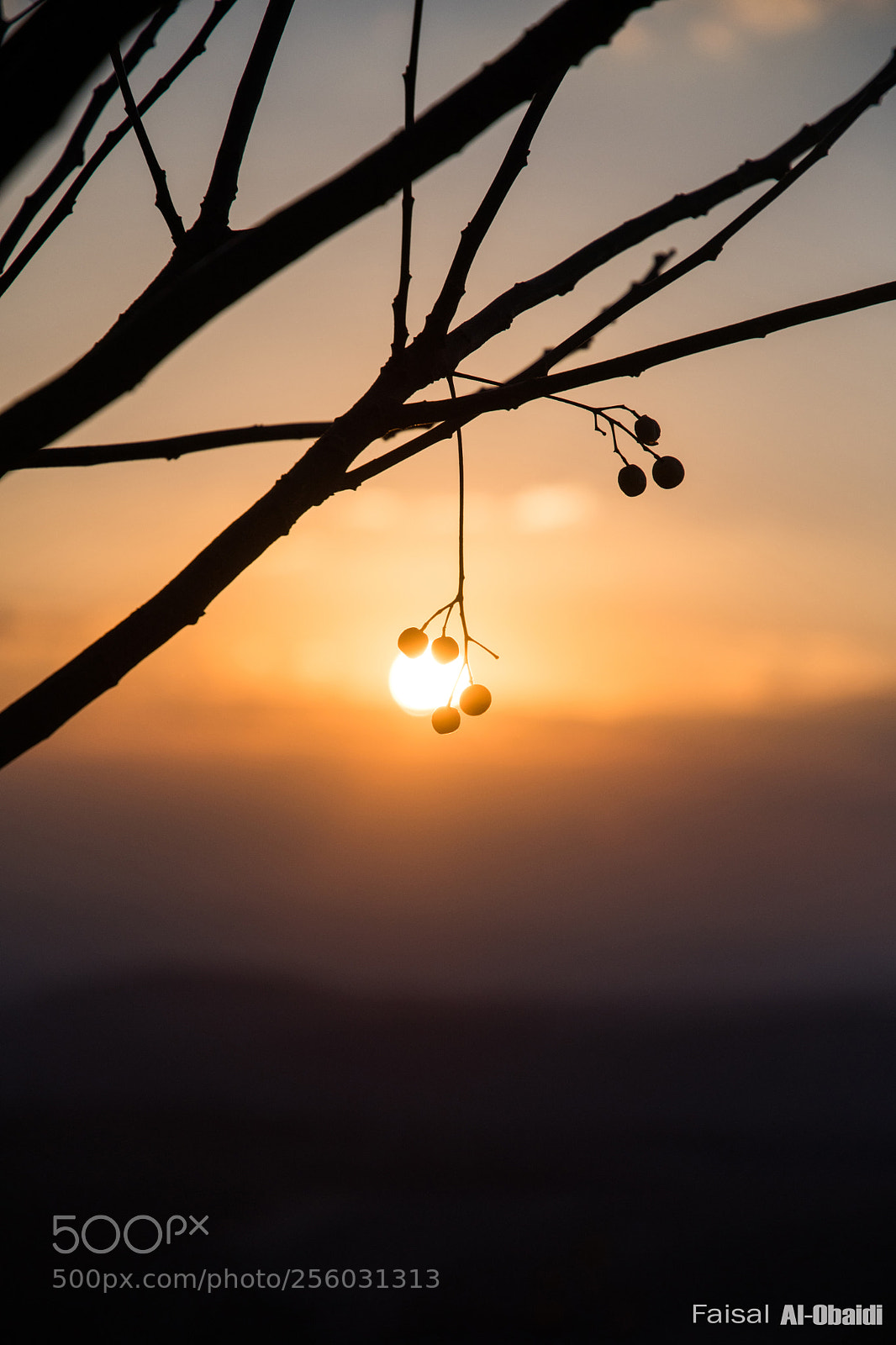 Nikon D500 sample photo. Sunset at gerasa, jordan photography