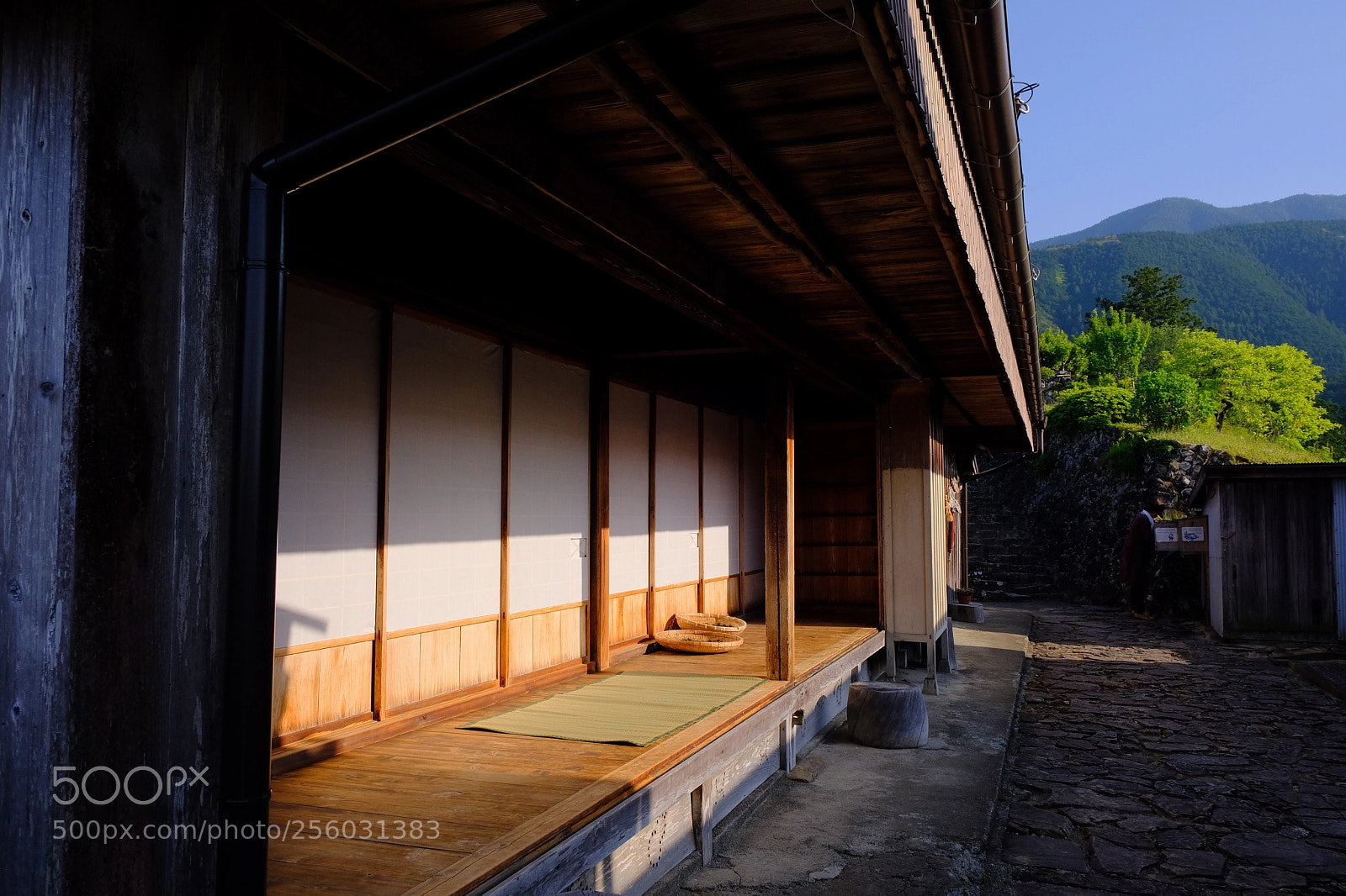 Fujifilm X-T20 sample photo. Untitled photography