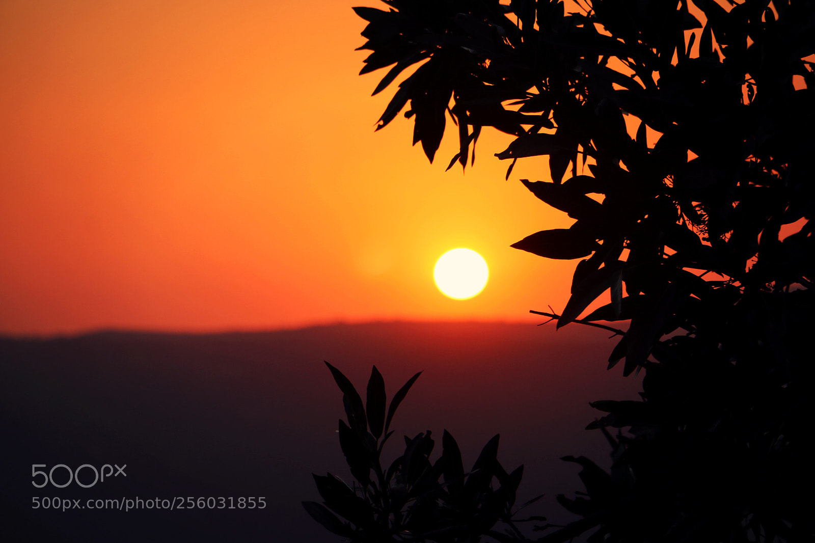 Canon EOS 70D sample photo. Sunset photography