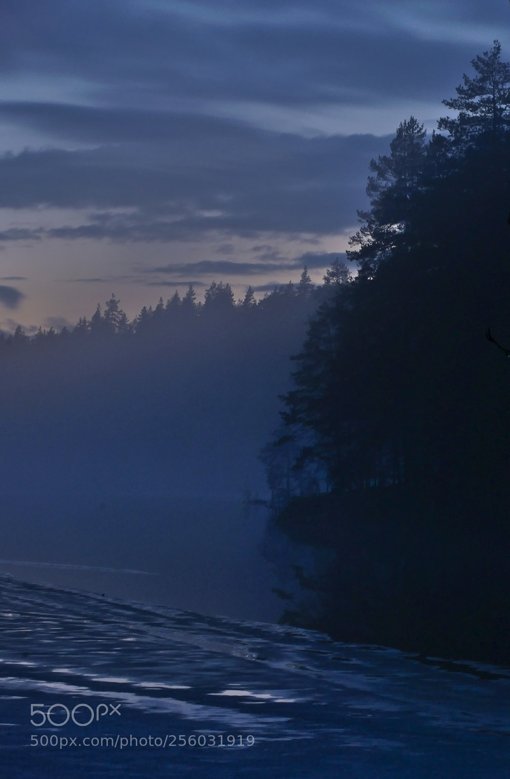 Panasonic Lumix DMC-GX7 sample photo. Misty morning photography