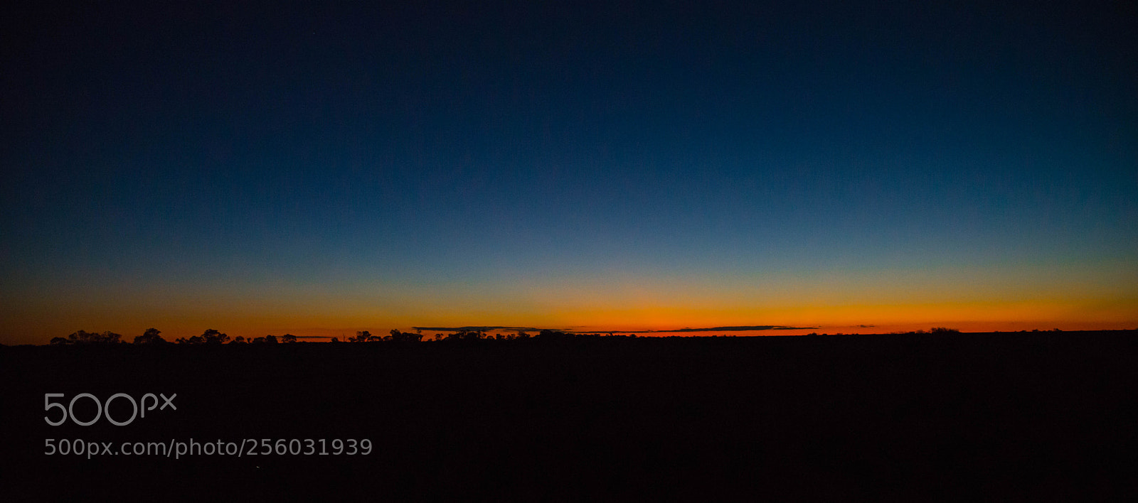 Nikon D610 sample photo. Compression photography