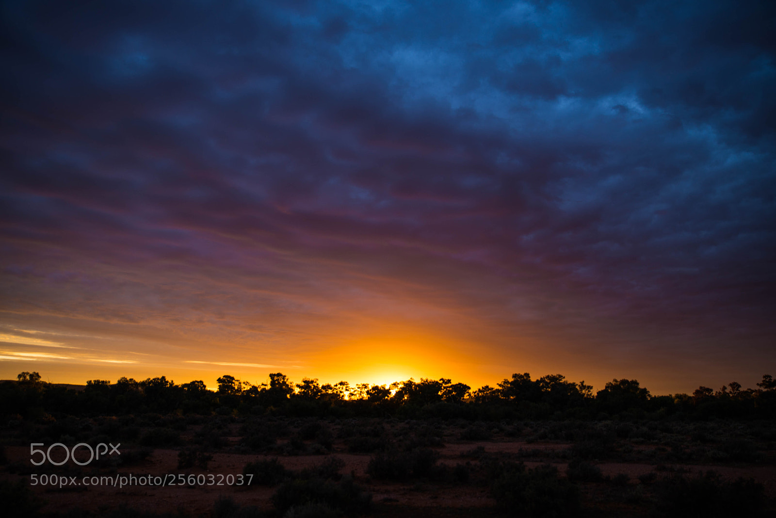 Nikon D610 sample photo. Morning glow photography