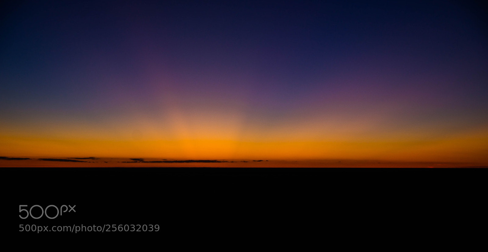 Nikon D610 sample photo. Rays photography