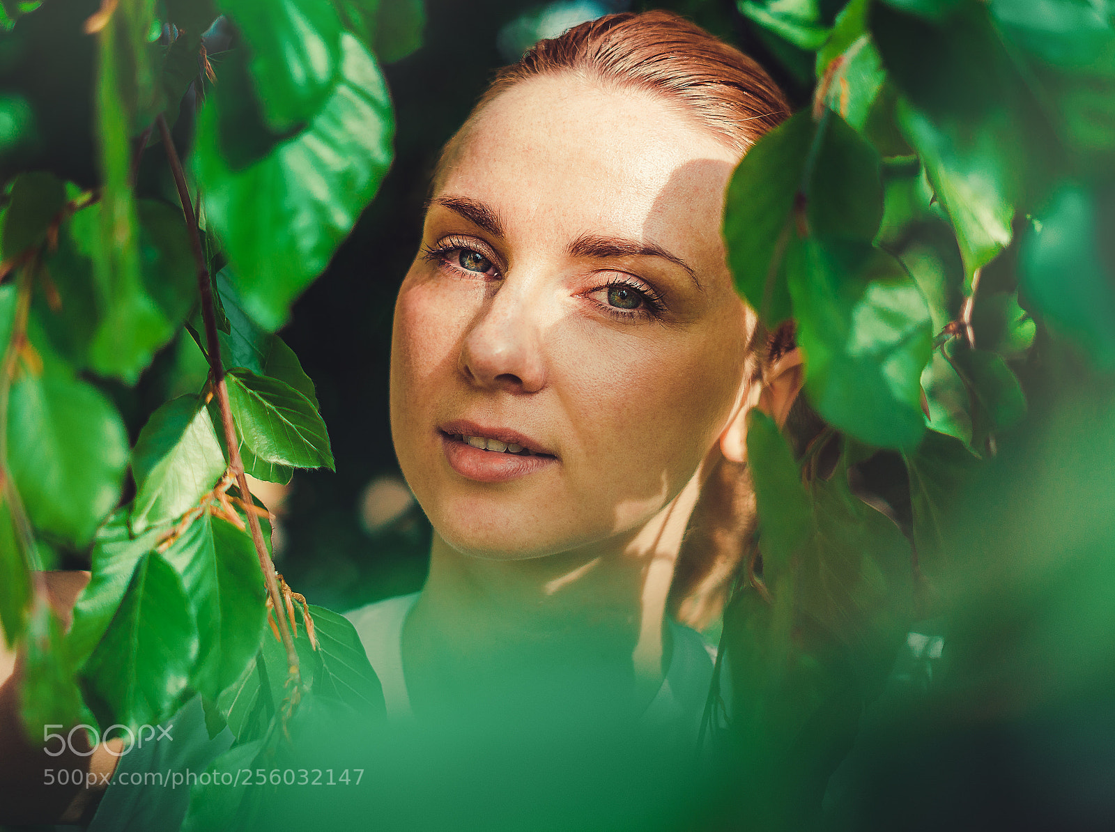 Sony a7 sample photo. Portrait leafs photography