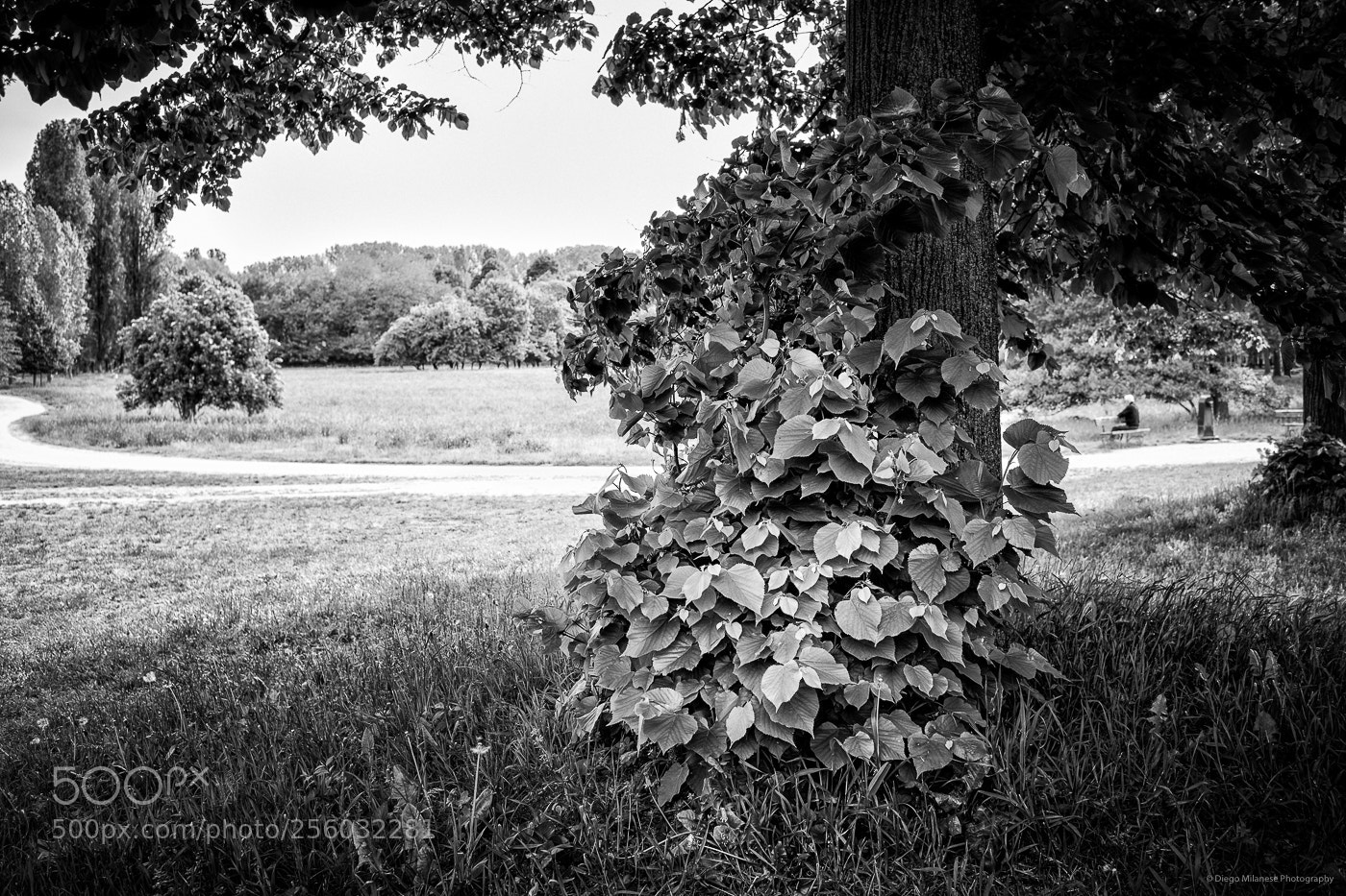 Fujifilm X-T20 sample photo. Untitled photography