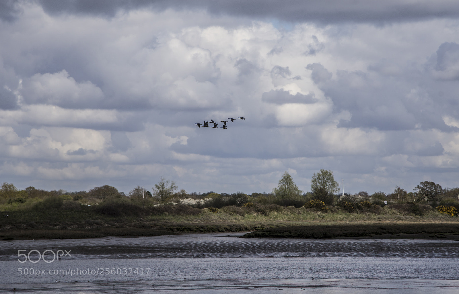 Canon EOS 6D sample photo. Maldon, essex, april 2016 photography