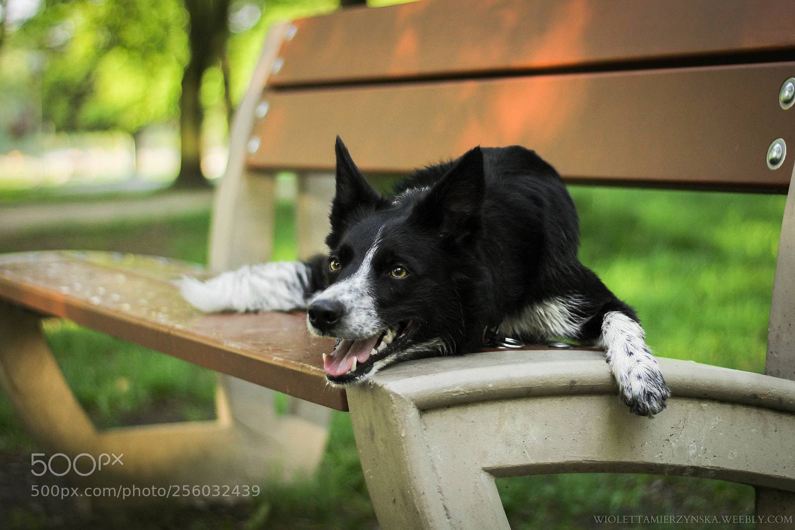 Canon EOS 1200D (EOS Rebel T5 / EOS Kiss X70 / EOS Hi) sample photo. Smiling garda photography