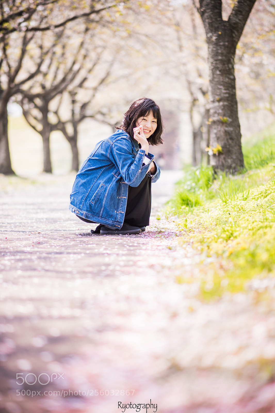 Nikon D750 sample photo. A smile of blossom. photography