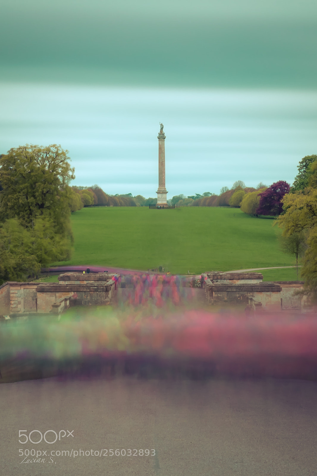 Canon EOS 5D Mark IV sample photo. 7k runners at blenheim photography