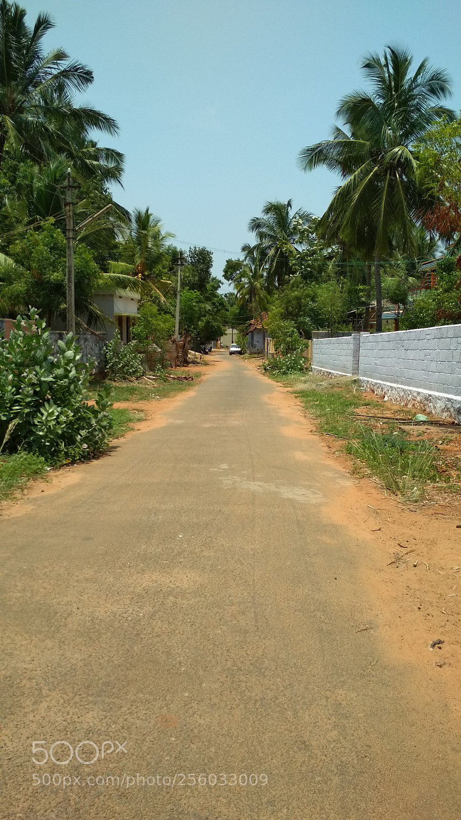 Xiaomi Redmi 4 Pro sample photo. Untitled photography