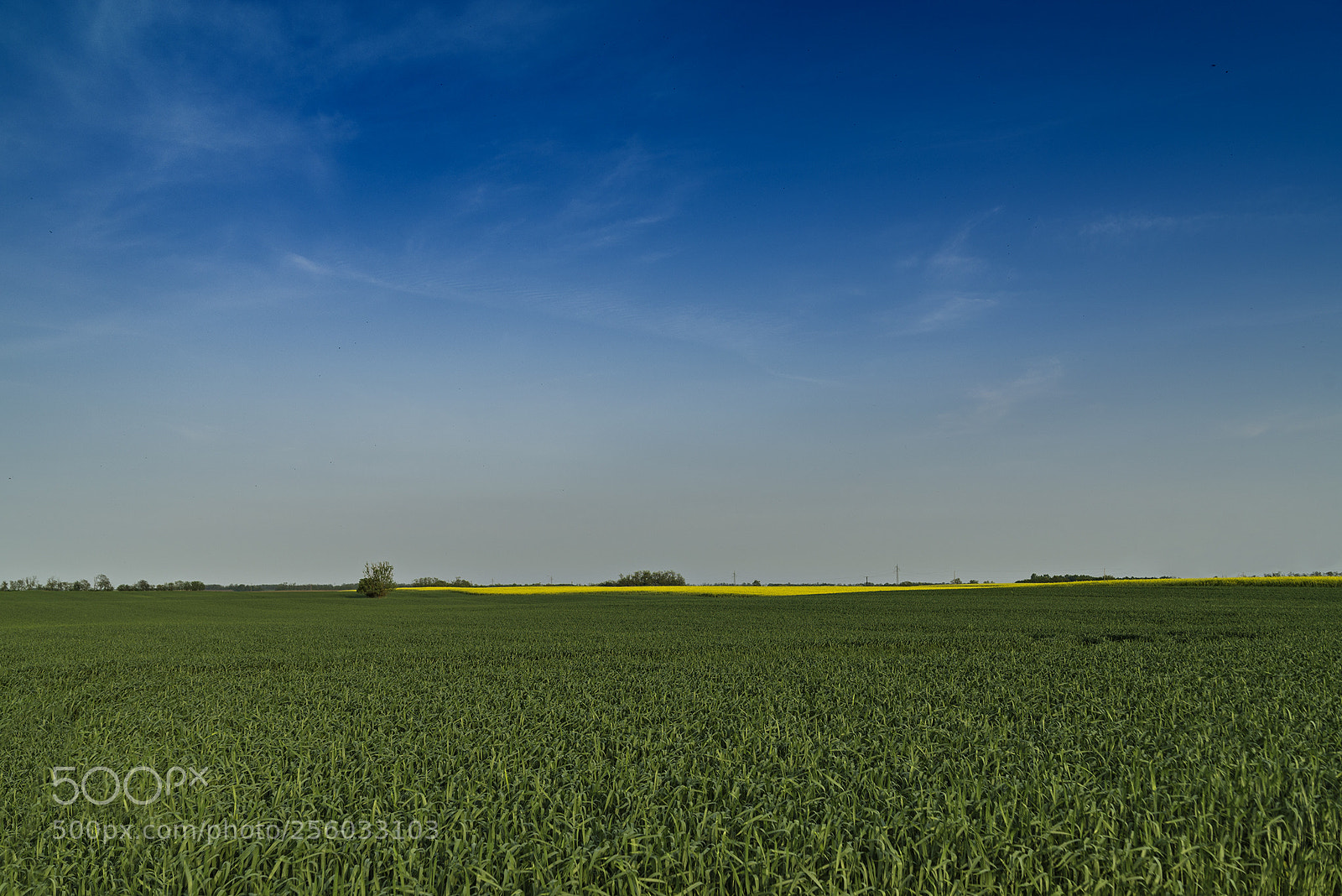 Nikon D610 sample photo. Field photography