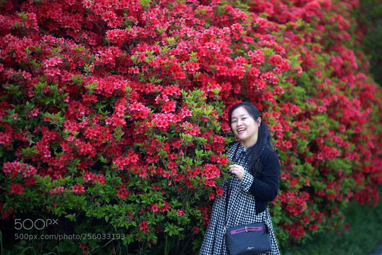 Sony SLT-A99V sample photo. A smile of spring photography