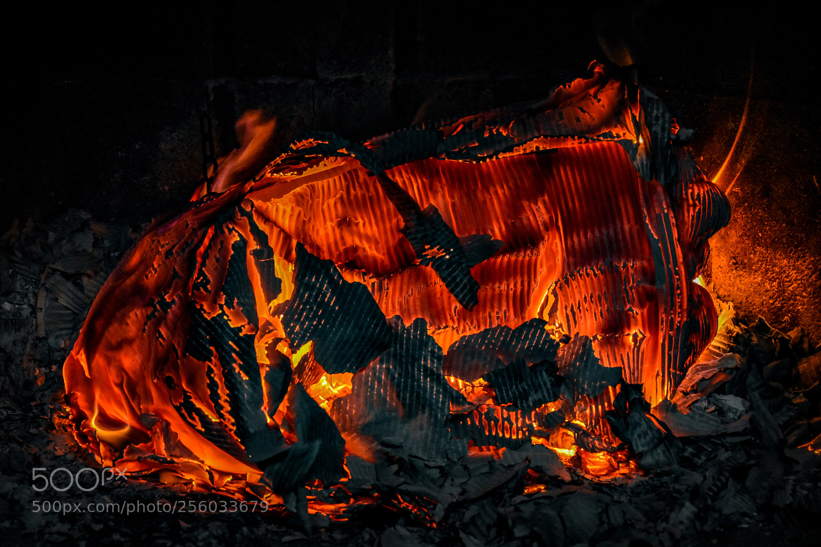 Nikon D5600 sample photo. Fire photography