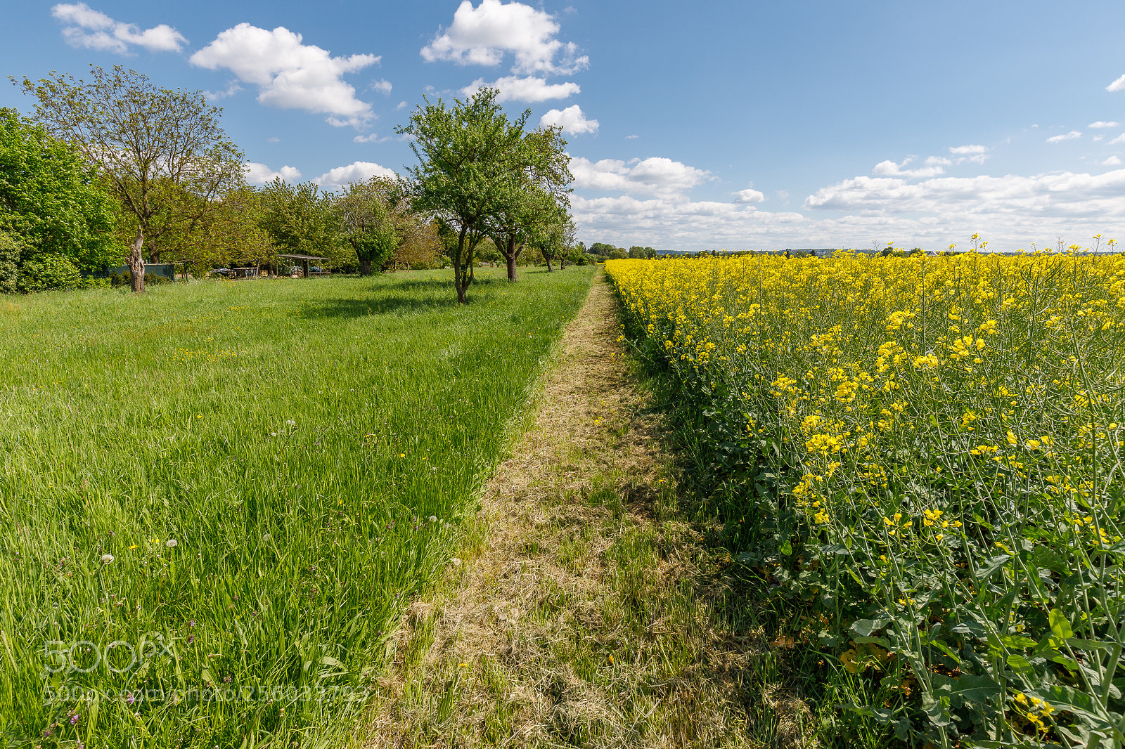 Canon EOS 6D Mark II sample photo. Rural frankfurt photography