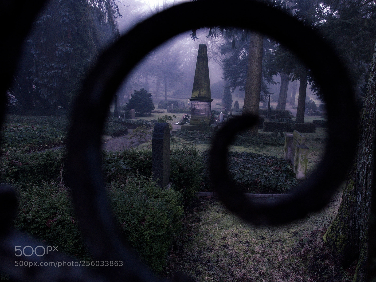 Panasonic Lumix DMC-LX100 sample photo. Cemetery photography