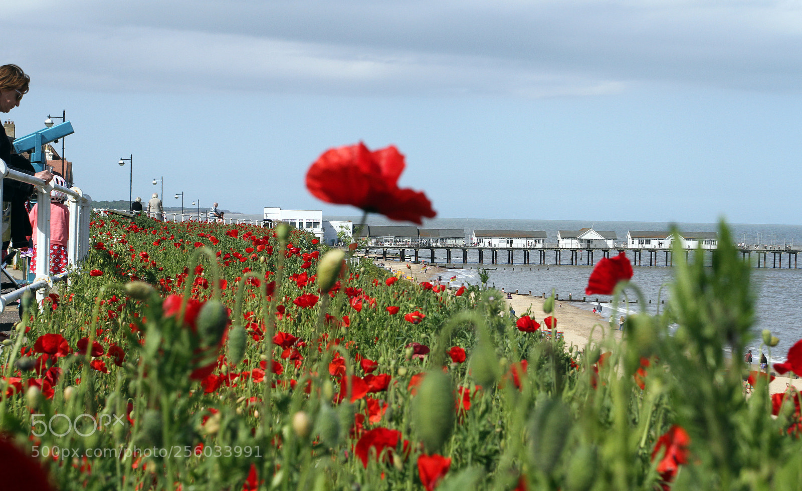 Canon EOS 7D sample photo. Southwold, suffolk, june 2015 photography
