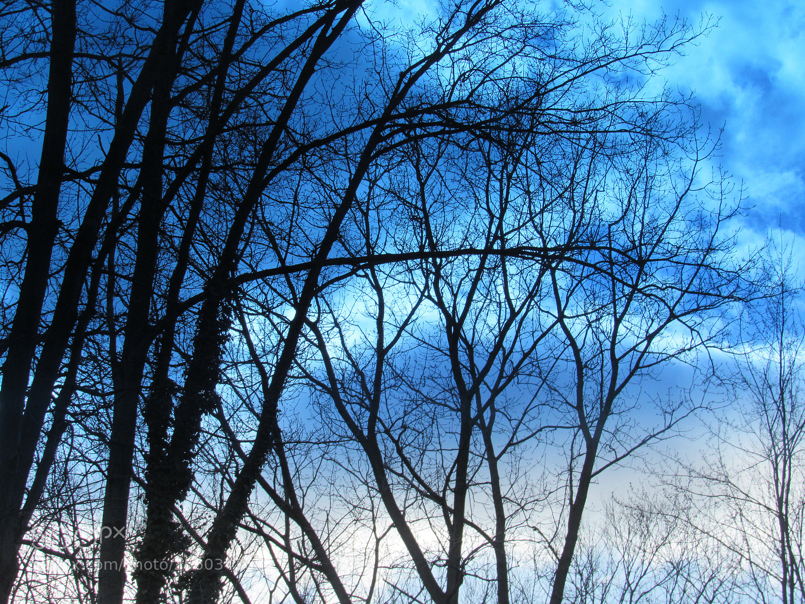 Canon PowerShot SX530 HS sample photo. Stop photography