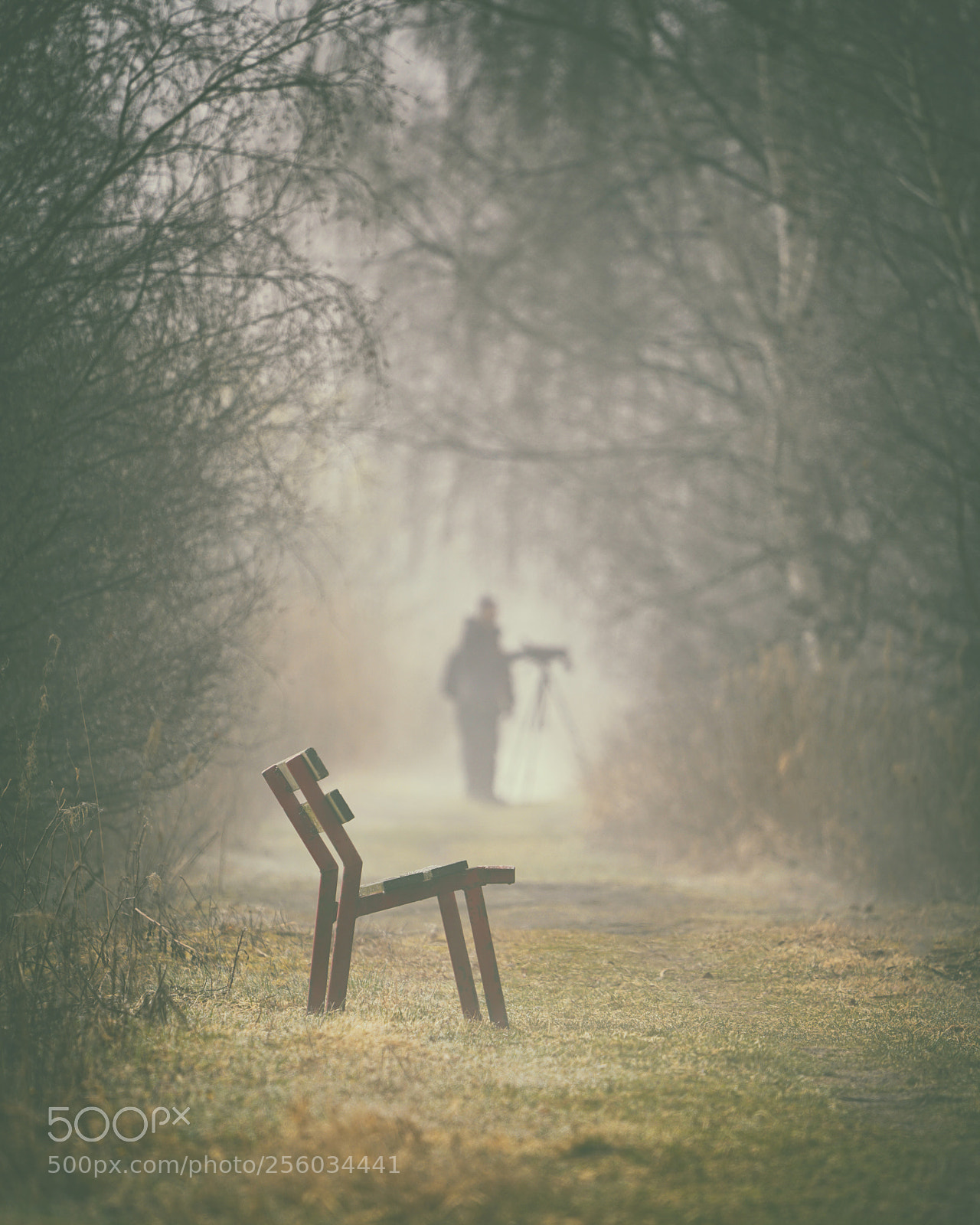 Sony a7R II sample photo. Birdwatchers photography
